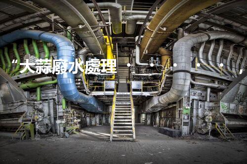 “大蒜廢水處理，綠色環(huán)保新篇章”